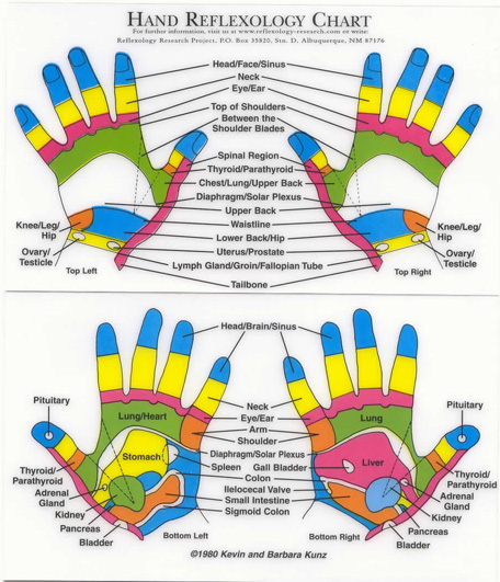 Hand Reflexology Pressure Points Chart